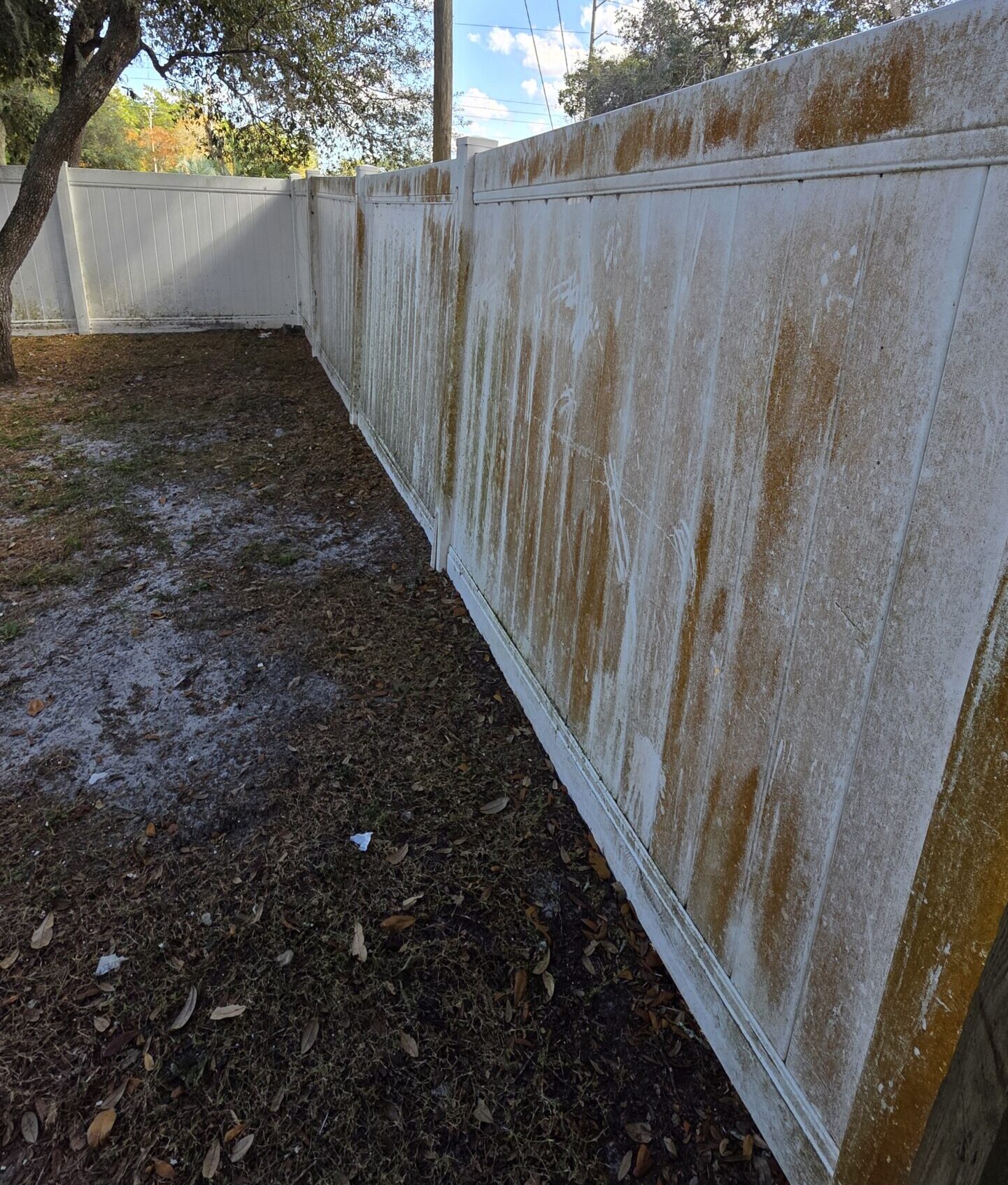 Fence Cleaning Before